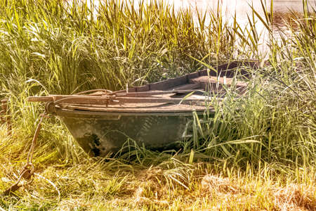 Old wooden rowboat on the lake bank in summer seasonの写真素材