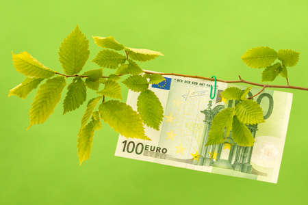 One Hundred Euro hanging on the tree branch. Money tree, revenue growth.の写真素材