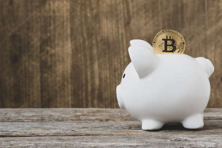 Piggy bank with Bitcoin coin. Saving Bitcoins, conceptual image for investment to virtual currency.Copy-spaceの写真素材