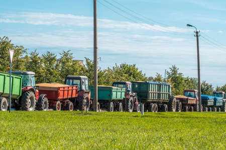 Tractors waiting to deliver recently harvested grain, stretching along the roadの写真素材
