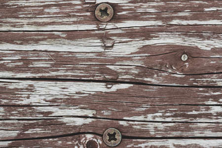 Screw heads on weathered wood texture. Close up view.