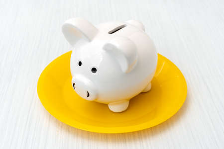 Savings consumer concept. Close up view of piggy bank on the plateの写真素材