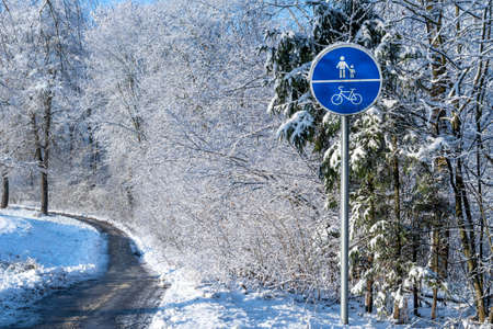 Bike and pedestrian path in the park during winter seasonの写真素材