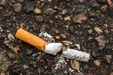 Cigarette butt thrown on the asphalt roadの写真素材