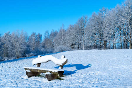 Winter landscape with deserted bench covered in fresh snowの写真素材
