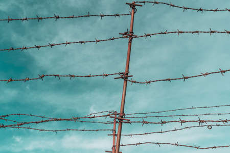 Barbed wire fence. Barbed wire on fence with blue sky to feel worrying.の写真素材