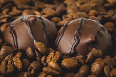 Close up of chocolate pralines in the coffee beansの写真素材