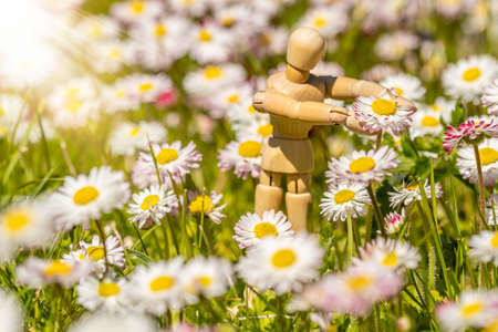 Wooden doll picking up flowers on a meadowの写真素材