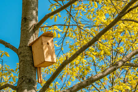 Bird house hanging from the tree with the entrance hole in the shape of a circleの写真素材