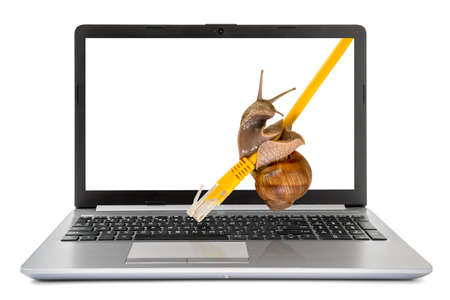 Laptop computer with a snail crawling on a yellow network cable. Slow internet concept.の写真素材