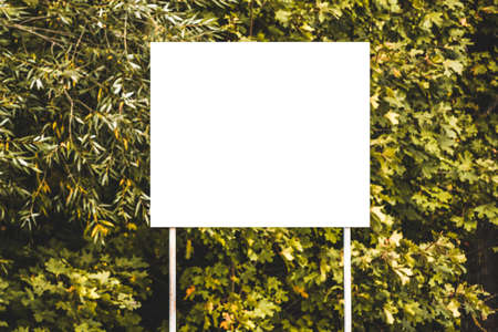 Blank white billboard with empty space in a park
