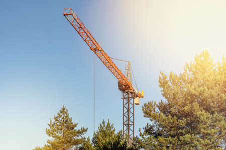 Construction tower crane against the sunny sky. High-altitude slewing crane working above pine tree...