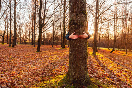 A man stand behind and give a hug to the old tree in the city park. Human and nature contact .