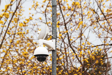 Video security system on a pole with spring trees backgroundの写真素材