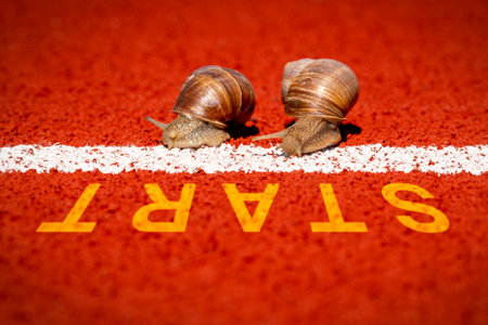 Close-up of racing snails in front of start line. The concept of competition, the winner, the slow...
