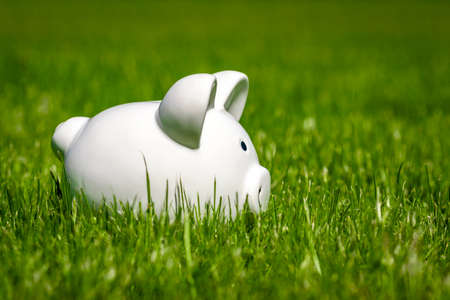 White piggy on grass background for money savingの写真素材