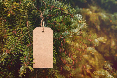 Empty price tag hanging on Christmas tree.Copy space.の写真素材