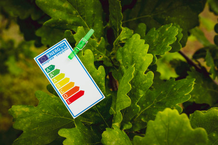 Energy efficiency concept with energy rating chart pinned on a tree
