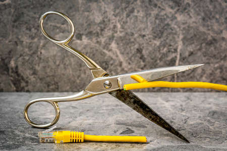 Restricted internet access concept. Yellow patch cord cut by scissors.Internet communication and...