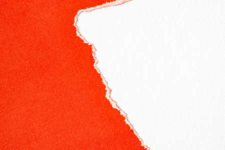 Red paper torn to reveal white paper background for copy-spaceの写真素材