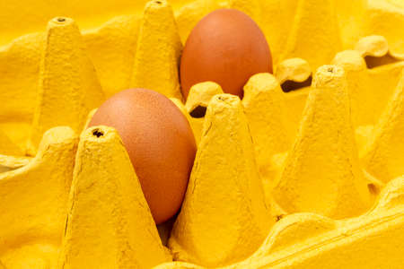 Two brown eggs in yellow cardboard egg box, close-up viewの写真素材