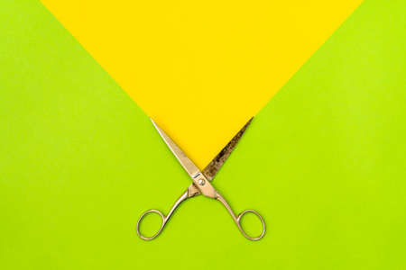 Colorful green and yellow background with metal scissors. Creativity concept.の写真素材