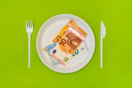 Top view of disposable cutlery and plate with Euro bills. Food expenses.の写真素材