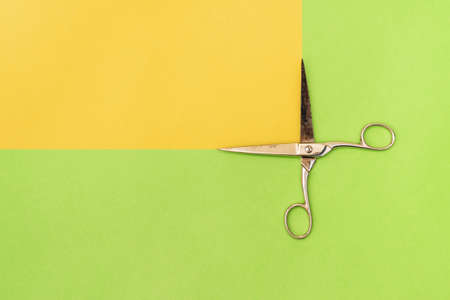 Colorful green and yellow paper background with metal scissorsの写真素材