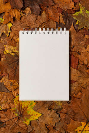 Empty spiral notepad with dry autumn leaves. Copy space.の写真素材