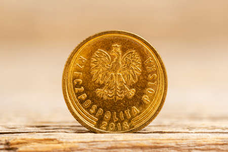 Polish money five Groszy copper coin, obverse with eagle in golden crown. Shallow DOF.の写真素材