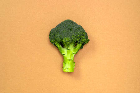 Broccoli sprig on cardboard background, asparagus cabbage isolated. Perfect Sprig of Fresh Broccoliの写真素材