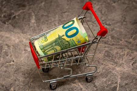 Shopping cart with one hundred euro banknote. Concept: loan, investment, pension, saving money, financing,  debt, mortgage, financial crisis or rise.の写真素材