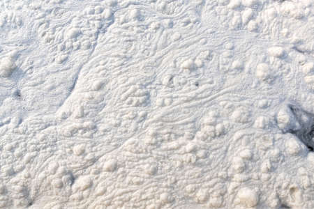 White foam background. Pollution of a river caused by surfactants. White foam in a stream kills...