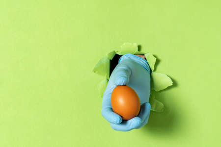 A man holds a chicken egg in his hand after breaking through a green paper wall. Copy space.の写真素材