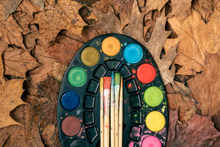 Watercolor paints, brushes and autumn leaves. Concept of creativity. Autumn season still life. Fall timeの写真素材