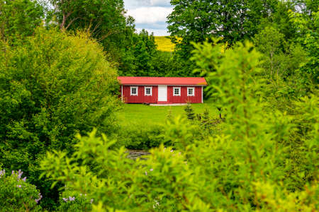 Red wooden house in a nature with a lot of green trees and lawn. Vacation in the country. Wooden hut in the forestの写真素材