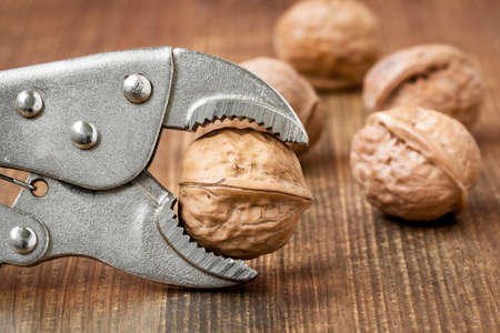 Adjustable wrench holding walnut to crack. Pure organic walnuts.
