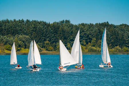 Lots of small white boats sailing on the lake