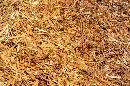 Pile of wood waste. Wooden pattern background. Ecological heating, renewable energy sources...