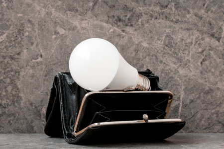Light bulb with an empty wallet. Saving energy, electricity, save power or energy crisis.