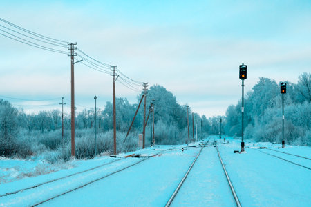 An image of railroad tracks in a cold winter season. Hoarfrost on the trees, a lot of snow.