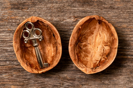 Problem solution concept with a key found in a walnut shell