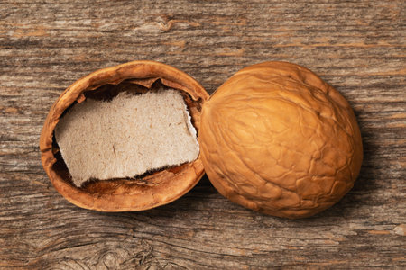 Walnut shell with a blank piece of paper. Copy space for your own message. New idea concept.