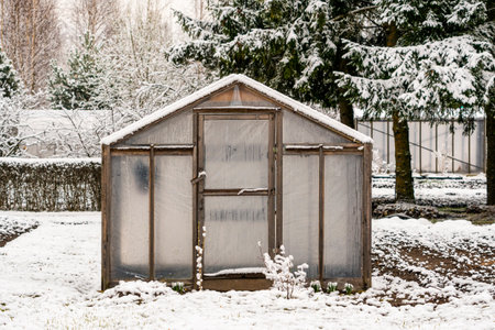 Garden with snow covered greenhouse in winter and fir trees in the backgroundの写真素材