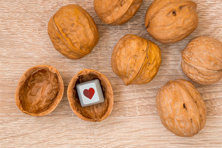 Nutshell with a keyboard key with a heart symbol. Online dating concept. Real Love Is So Hard to Find.の写真素材