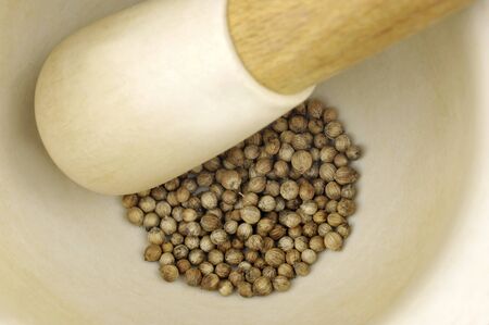Pestle and mortar with Coriander seeds, coriandrum sativum, also called pak chee, cilantro and chinese parsley.の写真素材