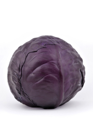 Whole head of red cabbage, brassica oleracea also called purple cabbage, red or blue kraut.の写真素材