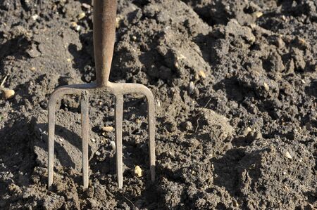 Soil preparation by digging with a garden fork.の写真素材