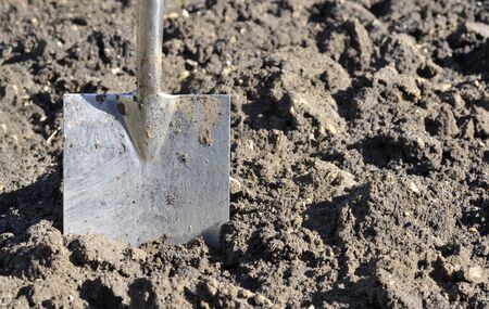 Soil preparation by digging with a garden spade.の写真素材