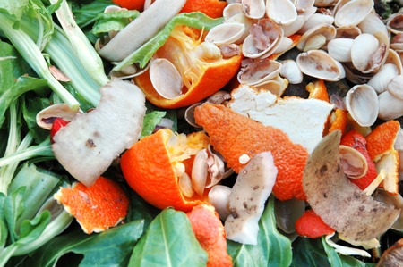 Raw food, fruit and vegatable garden waste recycling on a home compost heap.の写真素材